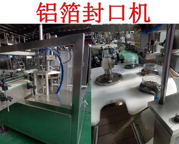泡腾片瓶装包装机械 食品机械领域的创新解决方案
